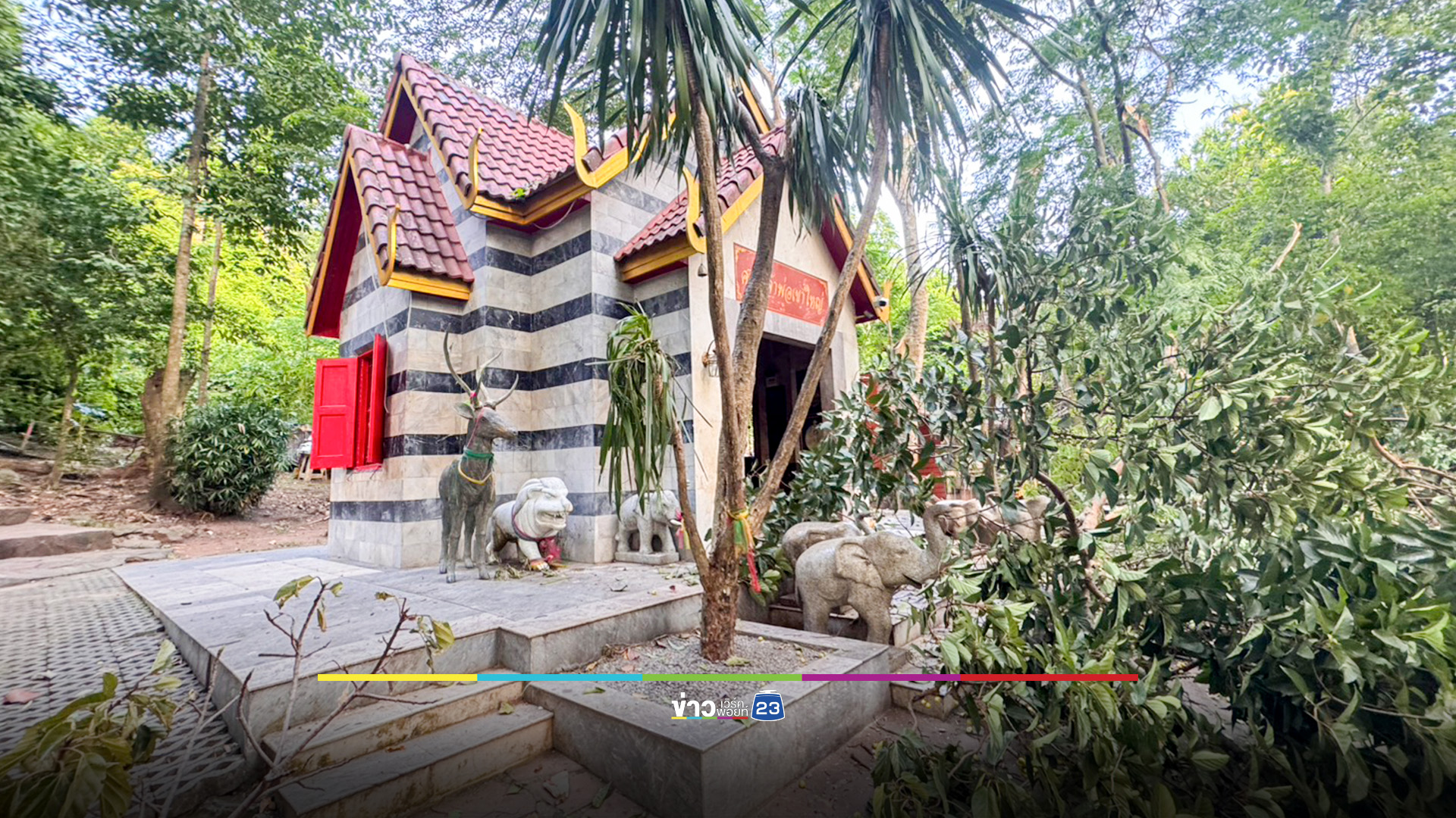 ต้นมะเดื่อ 100 ปี หักโค่นไร้ลมพายุ ไร้คนเจ็บ ศาลเจ้าพ่อเขาใหญ่ไร้รอยขีดข่วน