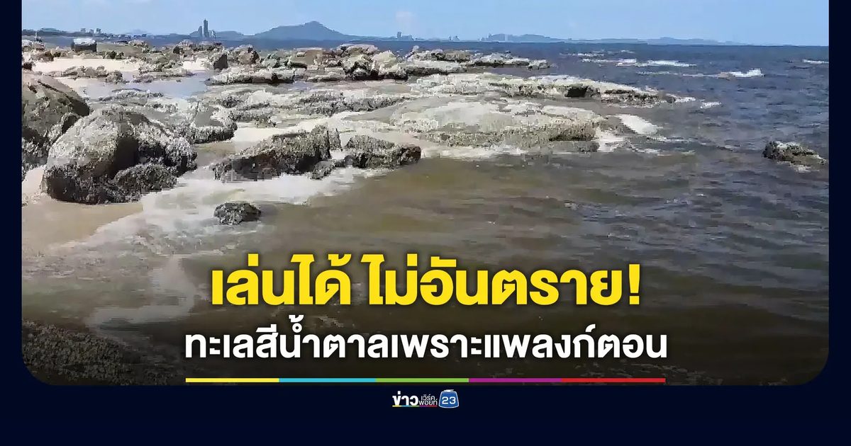 เล่นได้ ไม่อันตราย! ทะเลบางแสนเป็นสีน้ำตาลเพราะแพลงก์ตอน