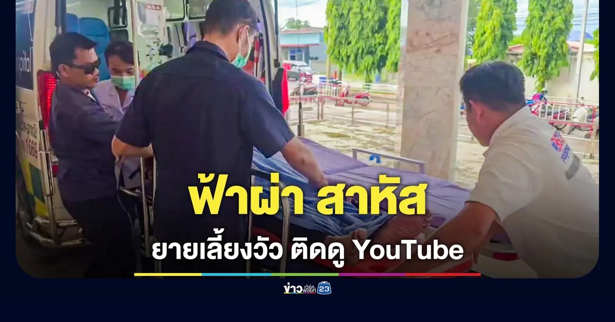 ยายเลี้ยงวัวพกมือถือเปิด YouTube ฝนตกโดนฟ้าผ่าสาหัส ลูกสาวเผยเตือนแล้วแต่แม่อ้าง "ฟ้าก็อยู่ส่วนฟ้า"