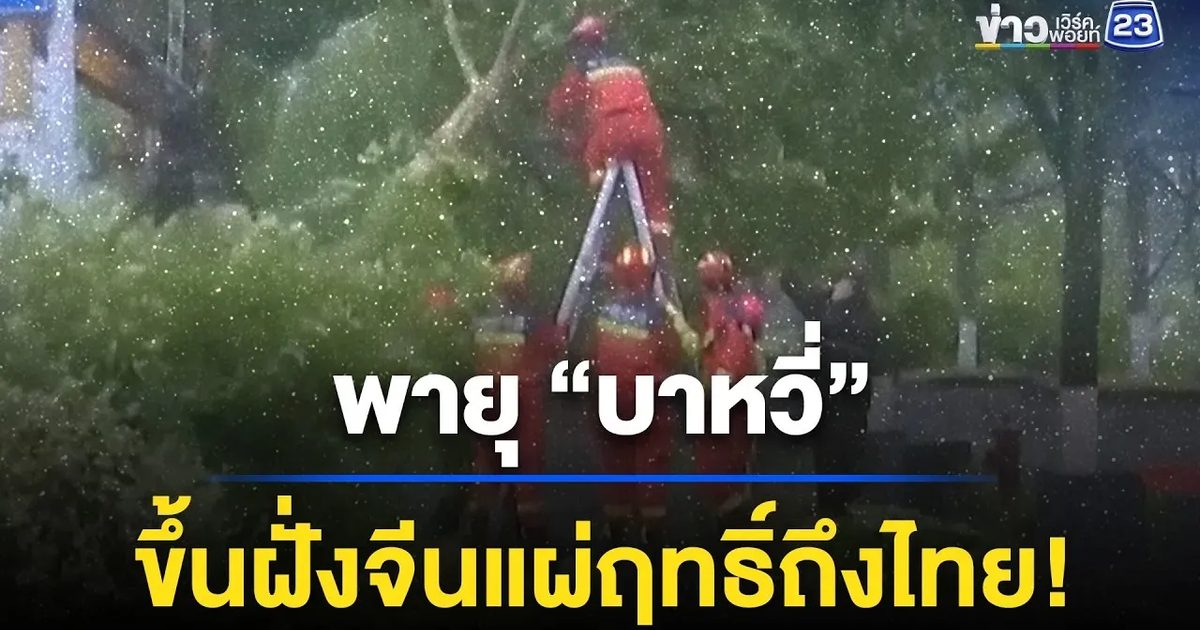 ไต้ฝุ่น "บาหวี่" ถล่มจีน ต้นไม้โค่น-คลื่นซัดฝั่งแรง