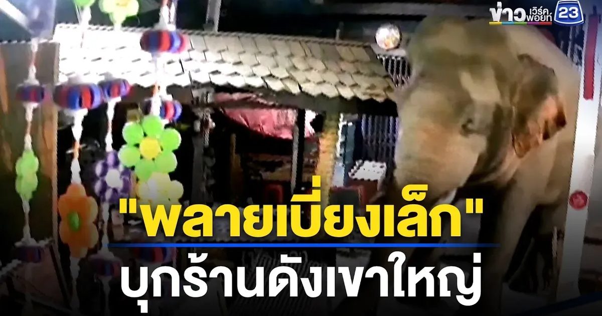 "พลายเบี่ยงเล็ก"บุกร้านอาหารพังยับ