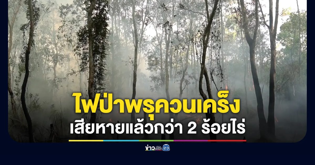 อัปเดต!สถานการณ์ไฟป่าพรุควนเคร็ง เสียหายแล้วกว่า 2 ร้อยไร่