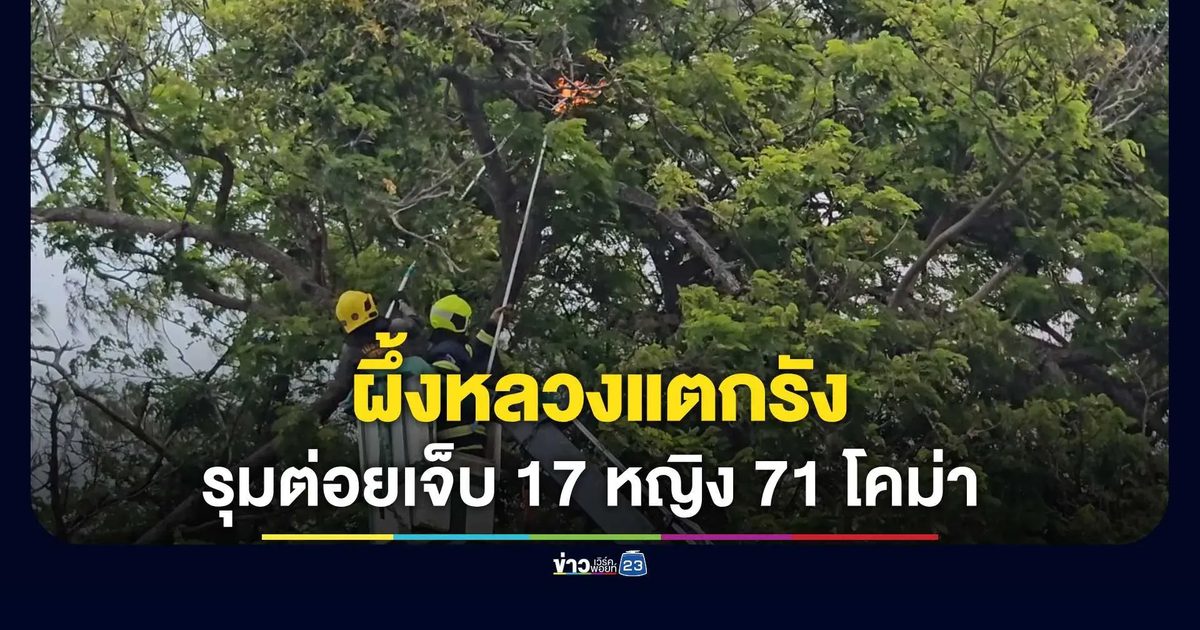 ผึ้งหลวงแตกรังรุมต่อยแม่ค้า ตำรวจ นักเรียน เจ็บระนาวเกือบ 20 คน