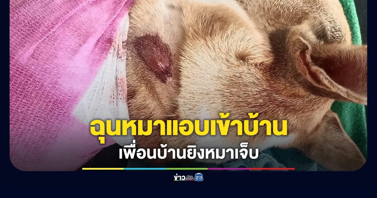เจ้าของหมาร้องเพื่อนบ้านยิงหมาเจ็บ ปมฉุนที่แอบเข้าบ้าน