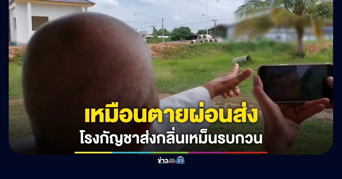 ชาวบ้านร้องเหมือนตายผ่อนส่ง โรงกัญชาส่งกลิ่นเหม็นรบกวนชุมชน