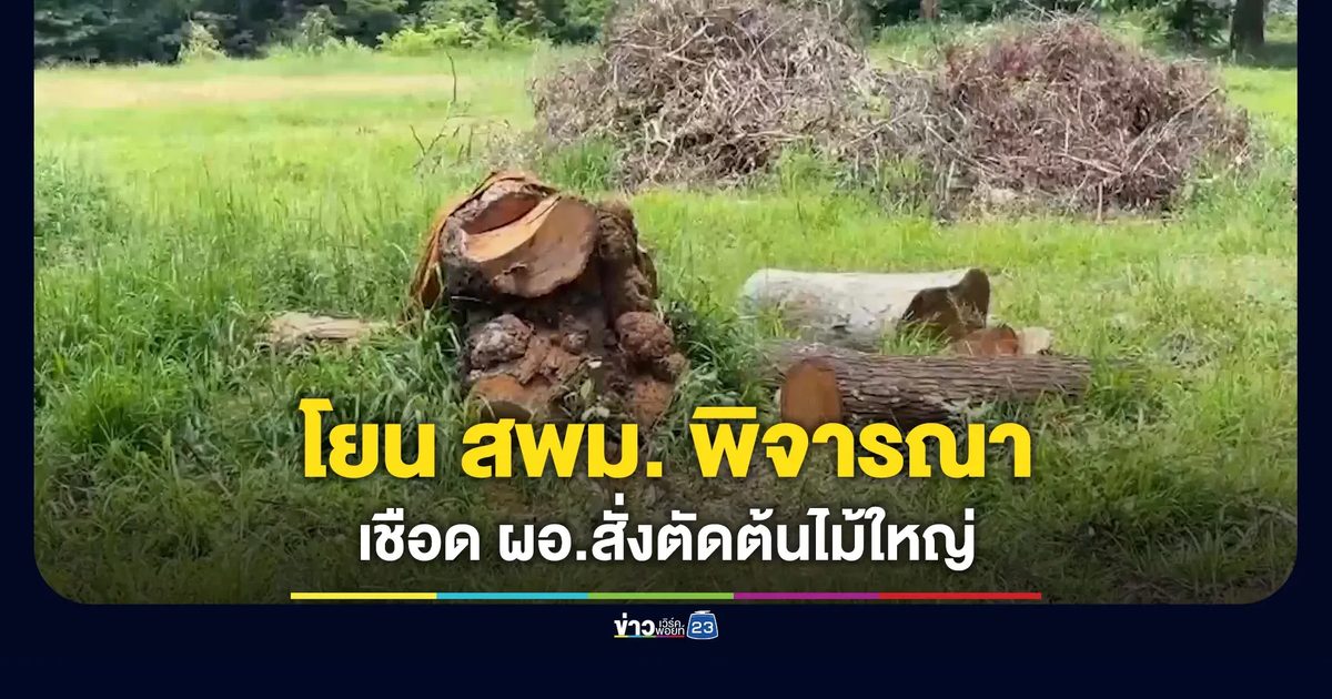 บอร์ดโรงเรียนโยน สพม.กาฬสินธุ์พิจารณาสั่งฟัน ผอ.ตัดไม้ใหญ่