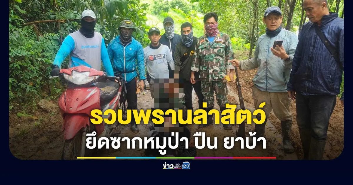 รวบพรานป่าลักลอบล่าสัตว์ คาของกลางซากหมูป่า ปืน และยาเสพติด