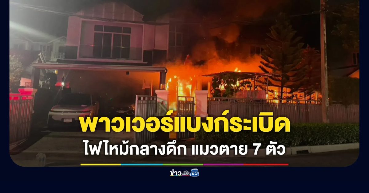 พาวเวอร์แบงก์ระเบิด ทำไฟไหม้กลางดึก แมวถูกไฟคลอกตาย 7 ตัว