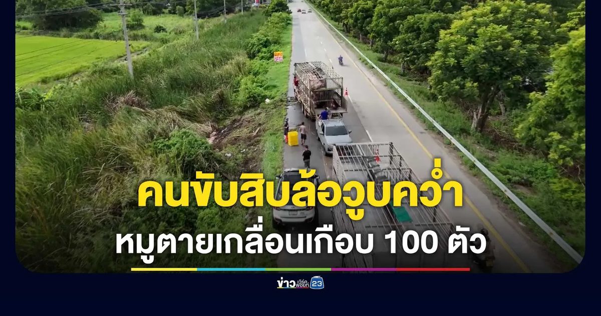 สิบล้อขนหมูวูบพลิกคว่ำตกข้างทางสาย 340 หมูตายเกลื่อนนับร้อย