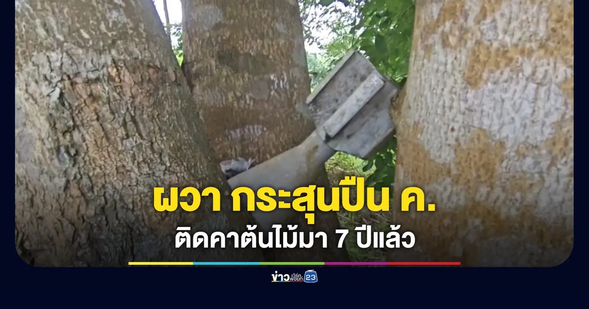 ชาวบ้านผวากระสุนปืน ค. ติดคาต้นไม้มา 7 ปี แจ้งไปไม่มีใครมาจัดการ
