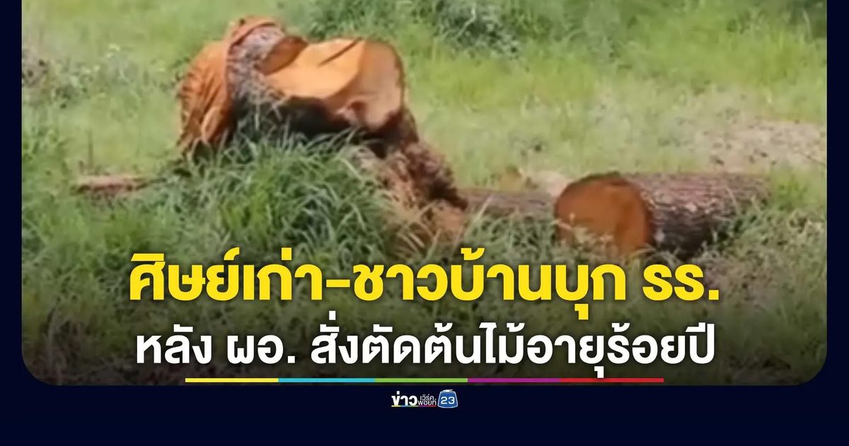 ศิษย์เก่า-ชาวบ้านบุกโรงเรียน หลัง ผอ. สั่งตัดโค่น 23 ต้นไม้อายุร้อยปี