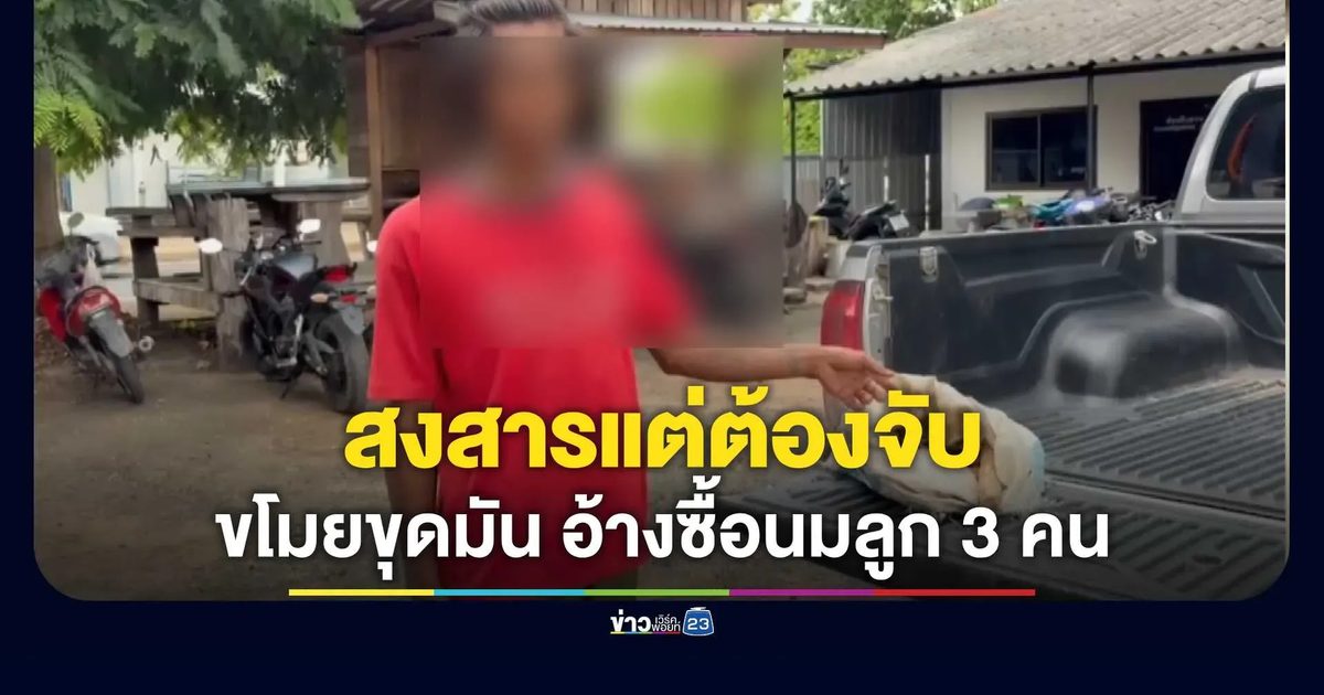 รวบหนุ่มอ้างหาเงินซื้อนมให้ลูก 3 คน แอบขุดมันสำปะหลังชาวบ้านขาย
