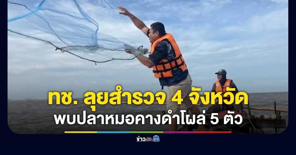 ทช. สำรวจปลาหมอคางดำ 4 จังหวัด พบ 5 ตัวในพื้นที่ปากแม่น้ำเจ้าพระยา–คลองขุนราชพินิจใจ
