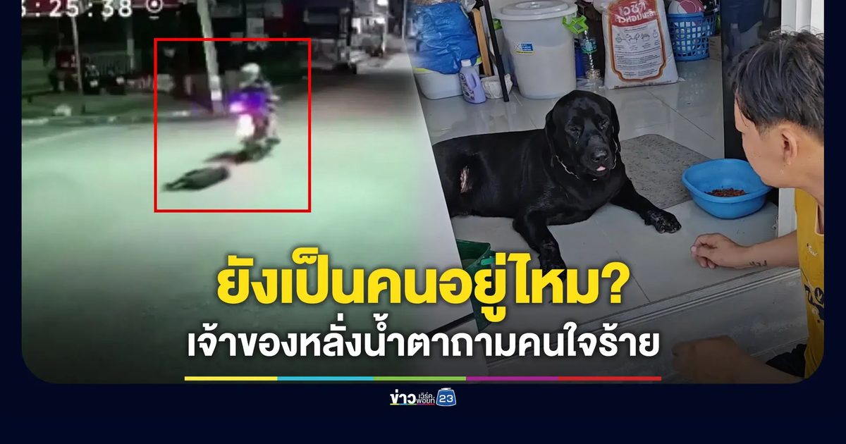 เจ้าของลาบราดอร์หลั่งน้ำตา ถามคนทำร้ายหมาคุณเป็นคนไหม?