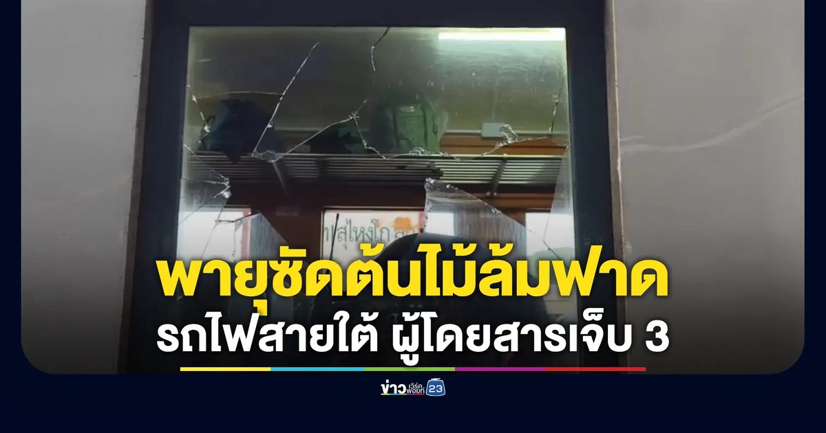 พายุซัดต้นไม้ล้มฟาดขบวนรถไฟสายใต้ กระจกแตกบาดผู้โดยสารเจ็บ 3 ราย