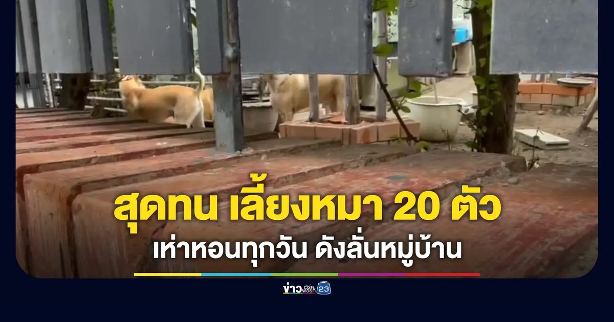 ร้องเพื่อนบ้านเลี้ยงหมา 20 ตัว เห่าหอนทีดังลั่นหมู่บ้าน