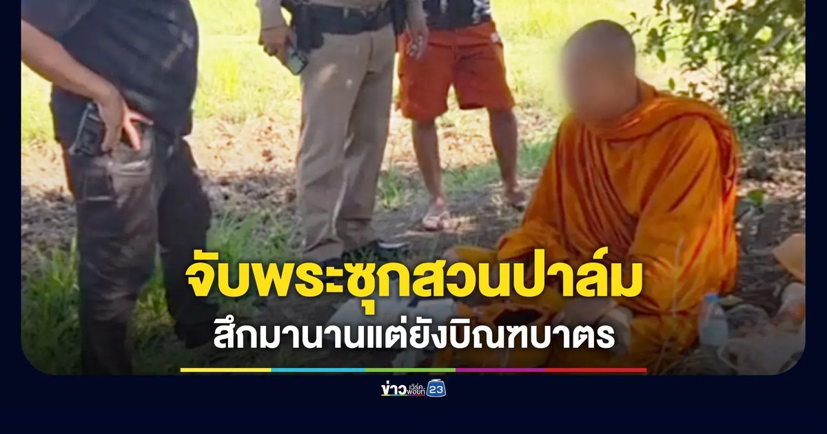 จับพระซุกสวนปาล์ม พบสึกมานานแต่ยังออกบิณฑบาตร