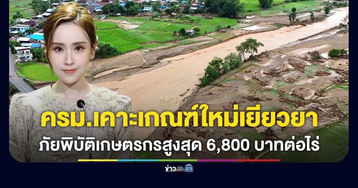 ครม. ไฟเขียว! เกษตรฯ เคาะเกณฑ์ใหม่ปี 69 อัปเดตเงินเยียวยาภัยพิบัติ พุ่งสูงสุด 6,800 บาท/ไร่