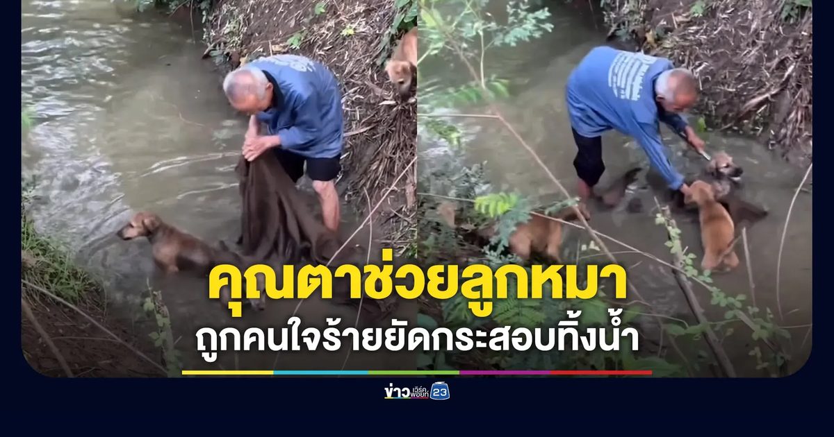 คุณตาช่วยลูกหมา 4 ตัว เจอคนใจร้ายยัดกระสอบทิ้งน้ำ