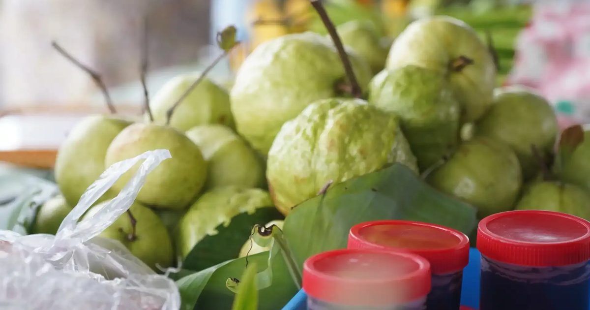 “เชียงราย” ปลุกพลังจากฐานราก สร้างเมืองอาหารปลอดภัยสู่สุขที่สมดุล