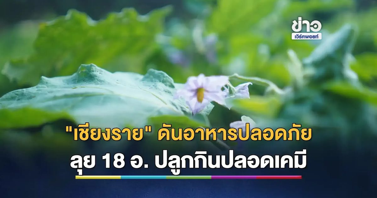 “เชียงราย” ปลุกพลังจากฐานราก สร้างเมืองอาหารปลอดภัยสู่สุขที่สมดุล