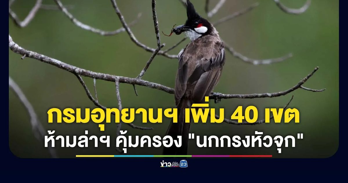 คุมเข้มเด็ดขาด! กรมอุทยานฯ เพิ่ม 40 เขตห้ามล่าฯ คุ้มครอง "นกกรงหัวจุก"
