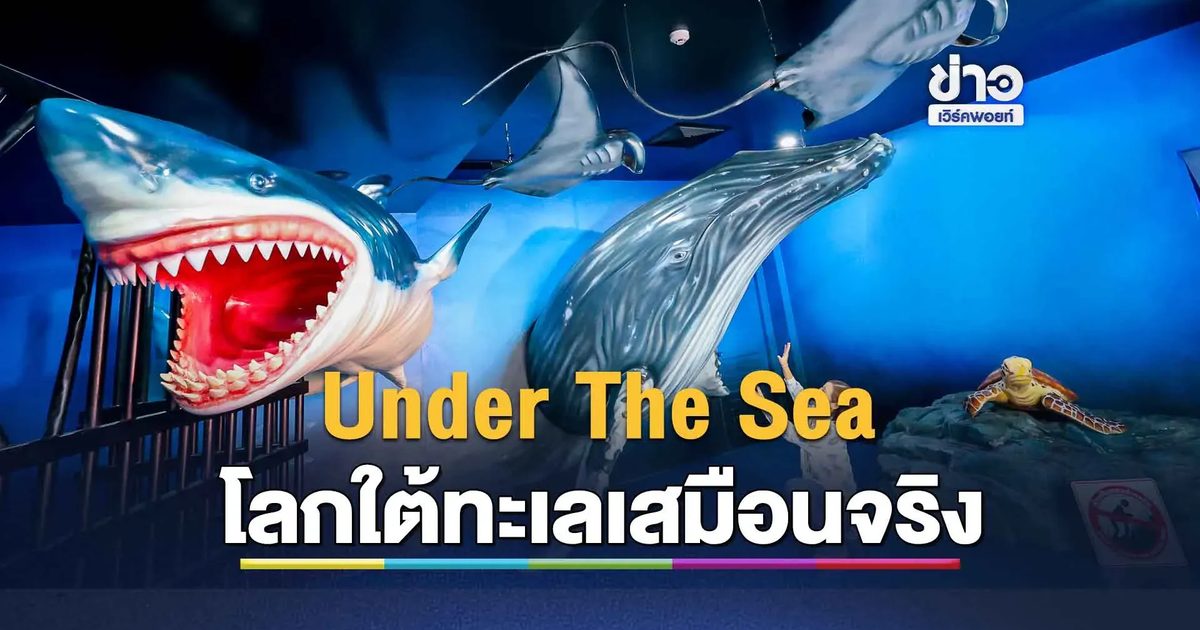 ทุ่ม 50 ล้าน! "ดรีมเวิลด์" เปิดตัวเครื่องเล่นใหม่ "Under The Sea" ท่องโลกใต้ทะเลเสมือนจริง