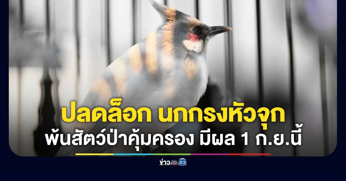 มีผลแล้ว! ปลดล็อก"นกกรงหัวจุก" จากบัญชีสัตว์ป่าคุ้มครอง "รมว.สุชาติ" ลงนาม ก่อนประกาศราชกิจจาฯ มีผล 1 ก.ย.