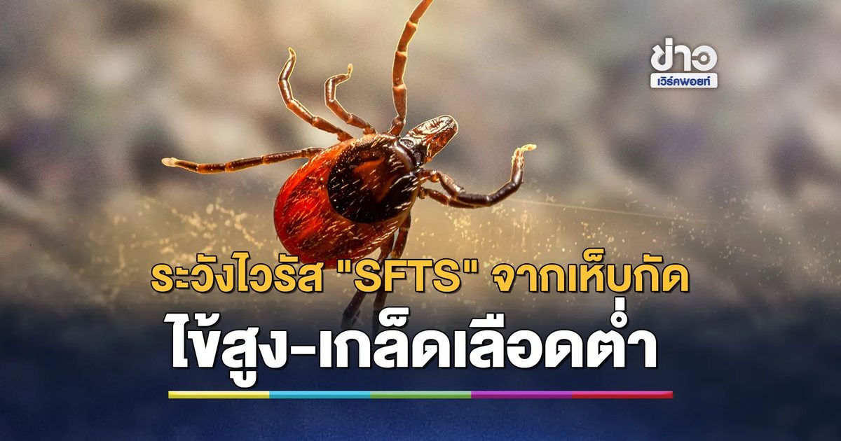 เตือนคนเลี้ยงสัตว์! เช็กอาการ "โรค SFTS" ไวรัสจากเห็บกัด ไข้สูง เกล็ดเลือดต่ำ อันตรายถึงชีวิต