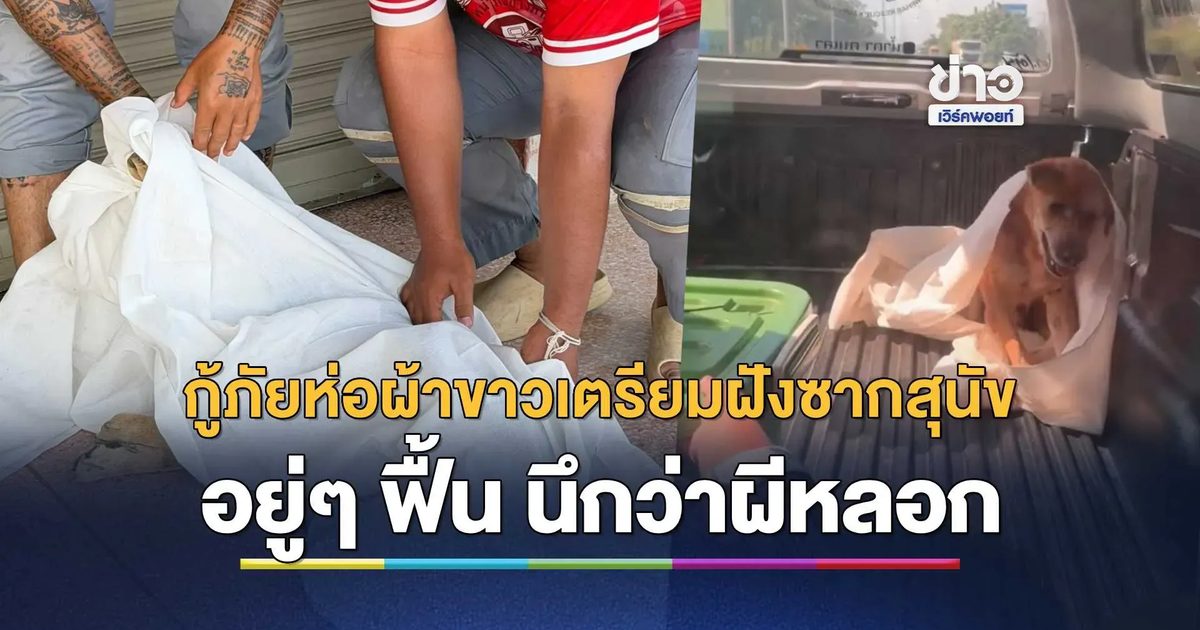 กู้ภัยผวาขนหัวลุก ห่อผ้าขาวเตรียมนำซากสุนัขไปฝัง อยู่ๆ ฟื้นคืนชีพกลางรถนึกว่าผีหลอก
