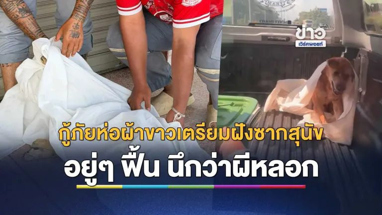 กู้ภัยผวาขนหัวลุก ห่อผ้าขาวเตรียมนำซากสุนัขไปฝัง อยู่ๆ ฟื้นคืนชีพกลางรถนึกว่าผีหลอก