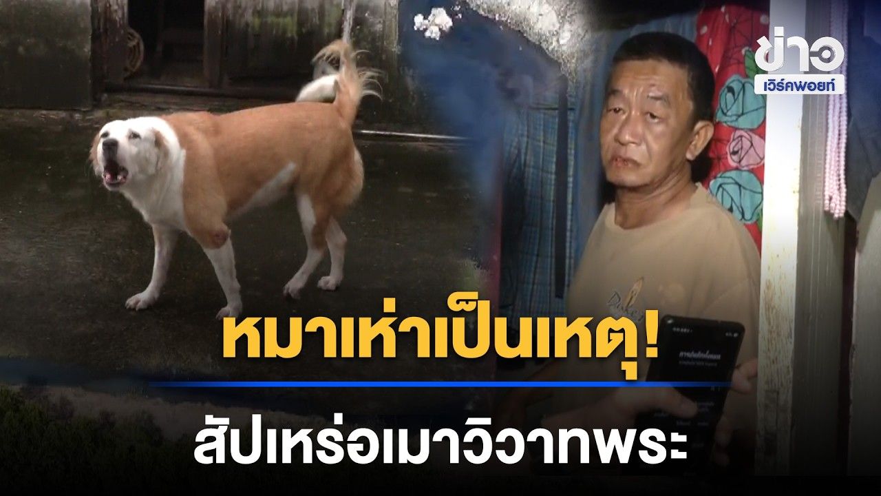 หมาเห่าเป็นเหตุ! สัปเหร่อเมาวิวาทพระ เจ็บคู่