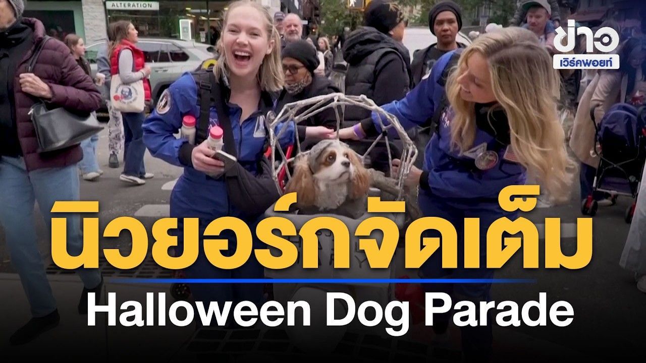 นิวยอร์กจัดเต็ม! ขบวนหมาแต่งแฟนซีรับฮาโลวีน ครั้งที่ 36