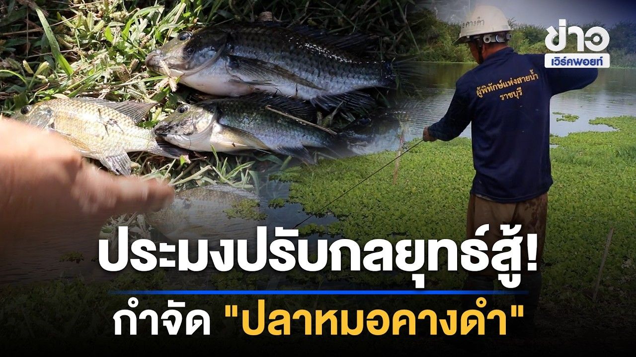 ประมงปรับกลยุทธ์สู้! กำจัด "ปลาหมอคางดำ"