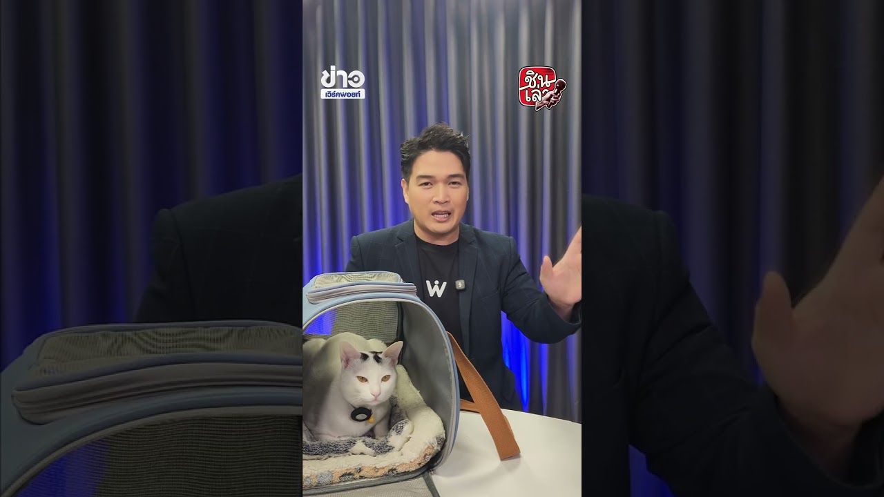 ไม่ได้พาแมวมา แต่ทำไมมีเสียงเมี้ยว?!
