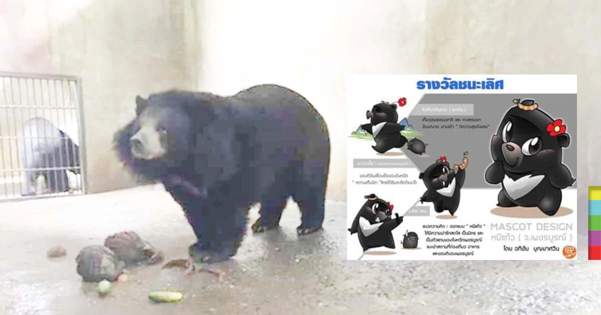 ไหนๆ ก็ดังแล้ว ประกวดมาสคอตเจ้าแก้ว หนุนการท่องเที่ยวเพชรบูรณ์ ซะเลย !