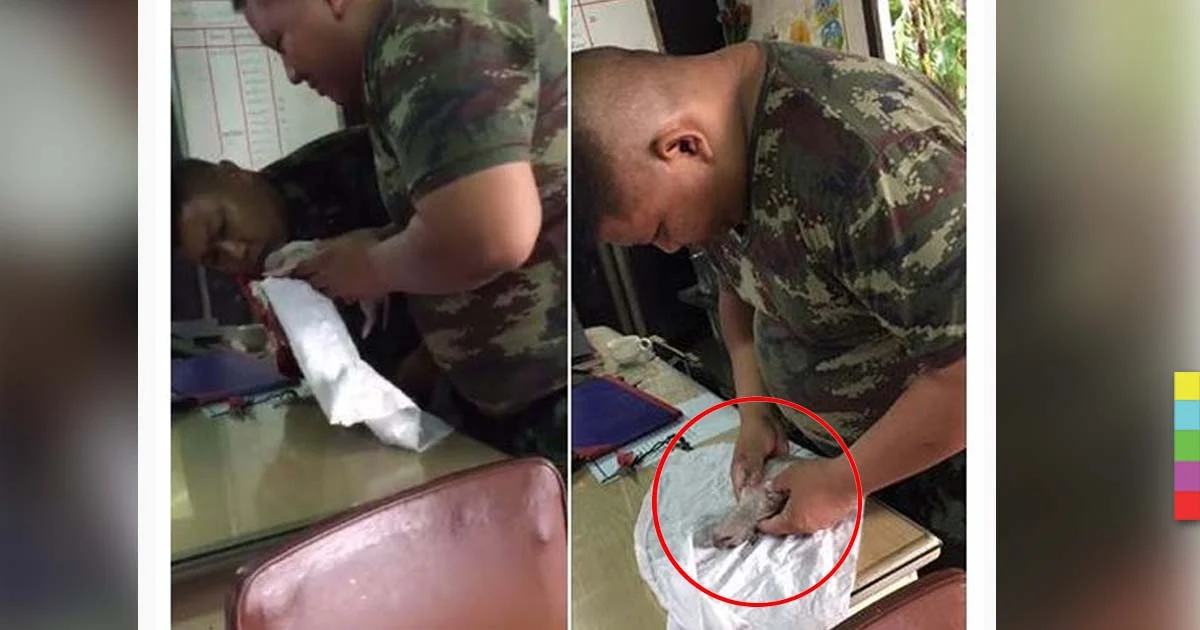 ลุ้นตาม ! คลิปทหารทำCPR น้องหมาน้อยจมน้ำ