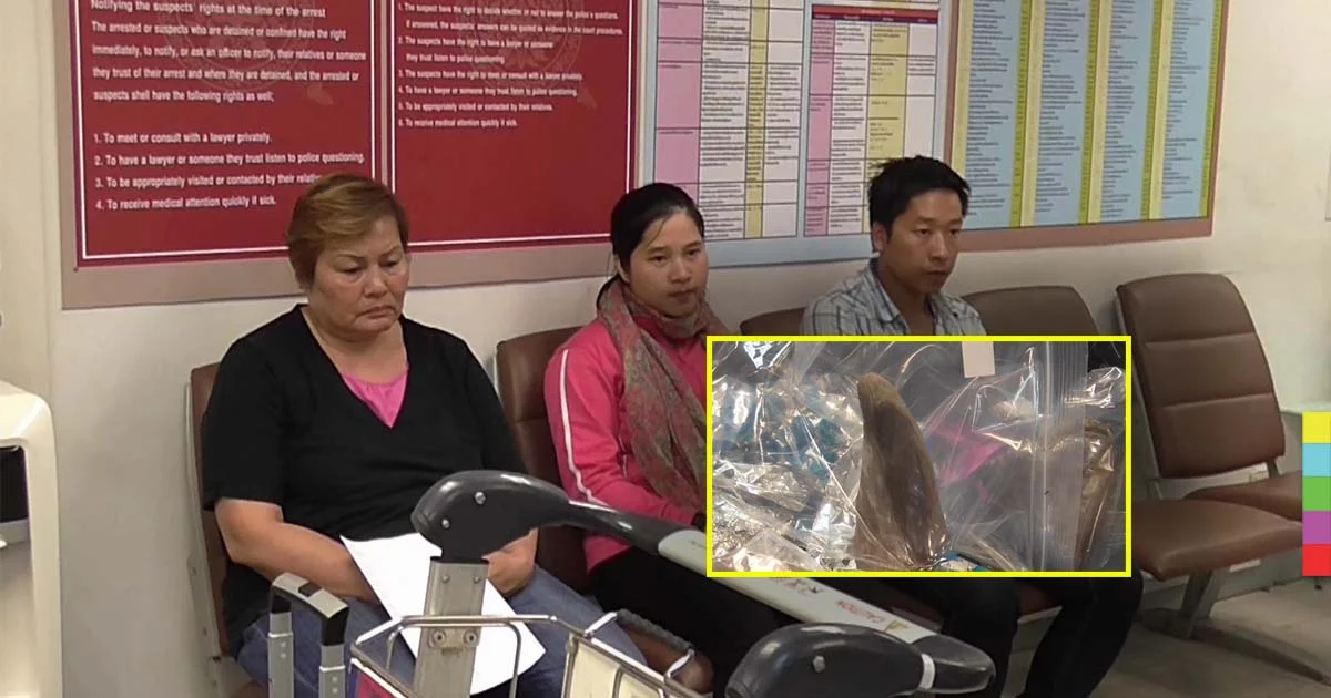 รวบชาวเวียดนามขน “นอแรด” ข้ามชาติ มูลค่า 15 ล้าน !