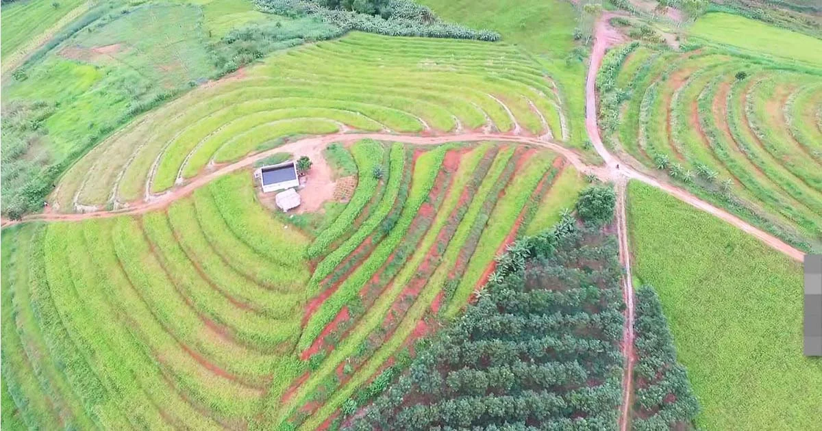 เที่ยวชมนาขั้นบันไดบ้านน้ำจวง ใช้ศาสตร์พระราชาอนุรักษ์ดิน น้ำ ป่า