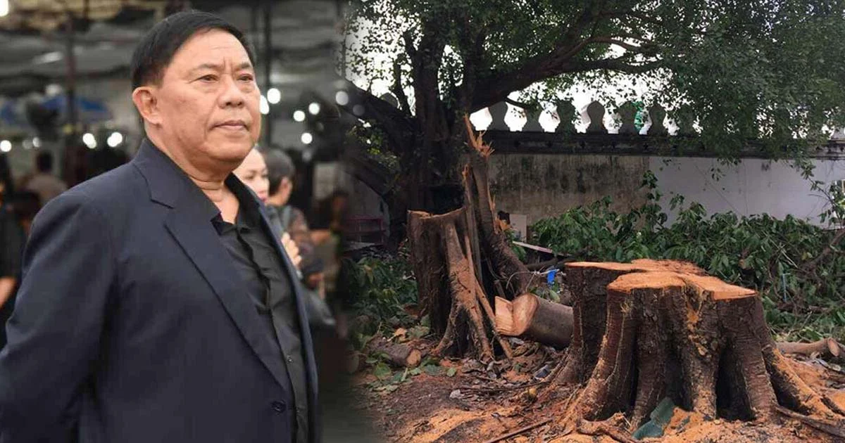 “อัศวิน” แจงเหตุตัดไม้ใหญ่ป้อมมหากาฬ เพื่อความจำเป็น