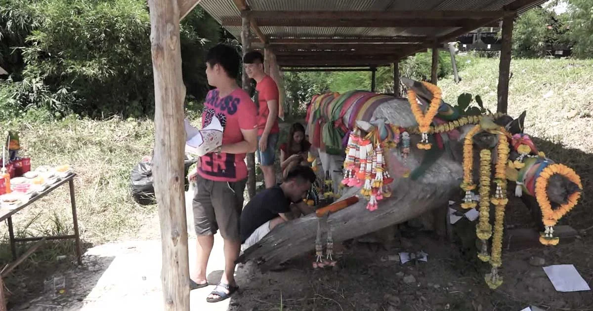 ชาวไทย-มาเลย์ แห่ขอเลขเด็ด เจ้าแม่ตะเคียนทองหาดใหญ่