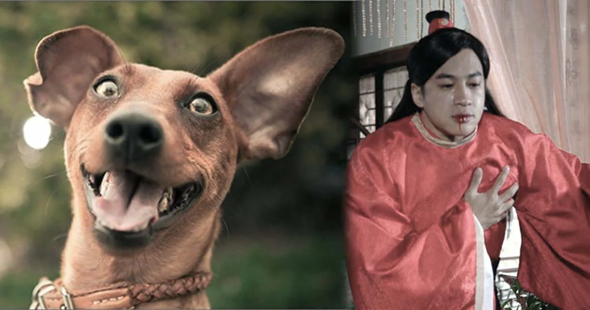 10 หน้า สุดฮา เมื่อรู้ว่า “พรุ่งนี้วันจันทร์”