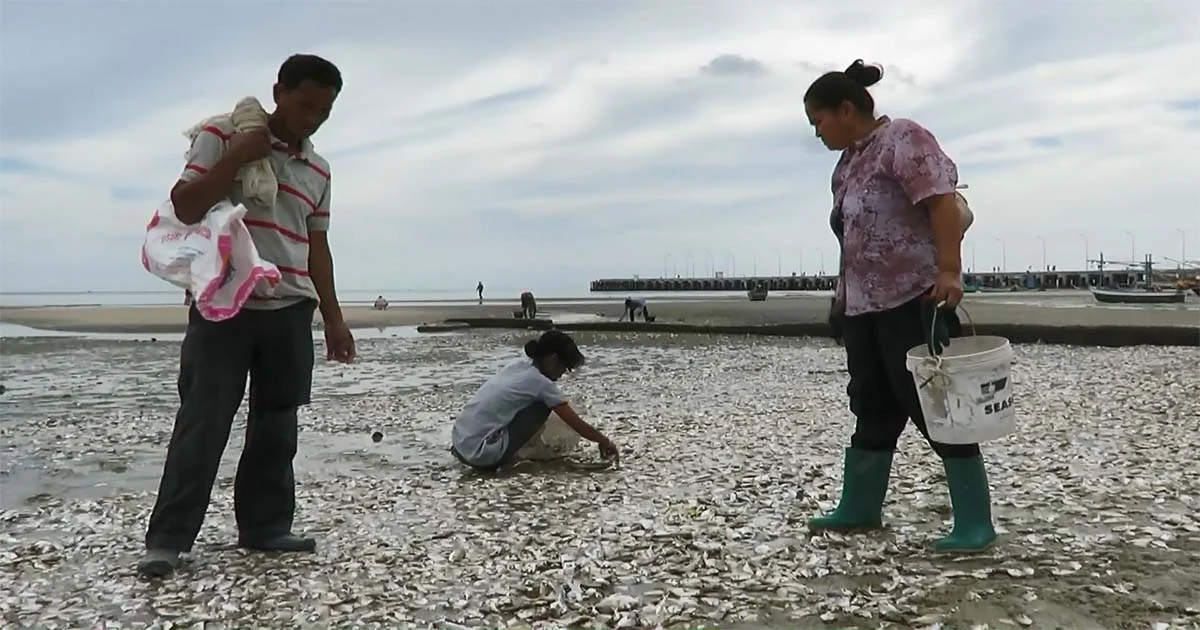 ชาวบ้านแห่จับปลา ! หลังปรากฏการณ์น้ำเบียด ทำปลาตายเกลื่อนหาดหัวหิน