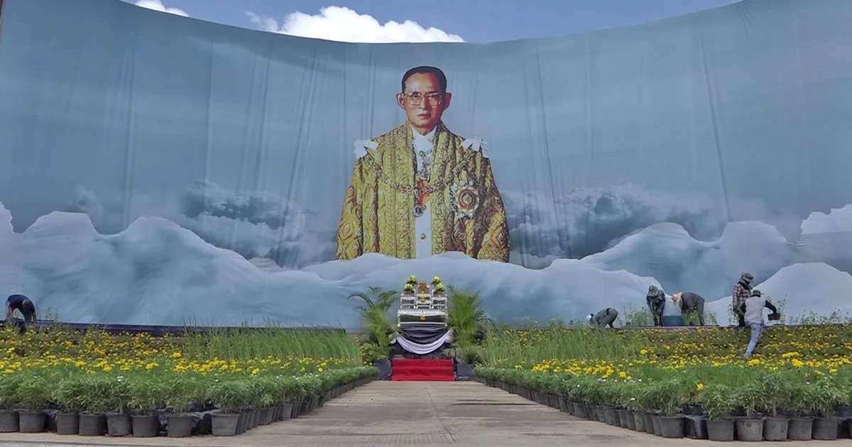 งดงาม ! เมืองย่าโมประดับดาวเรืองเบื้องหน้าพระบรมฉายาลักษณ์ 3 มิติ