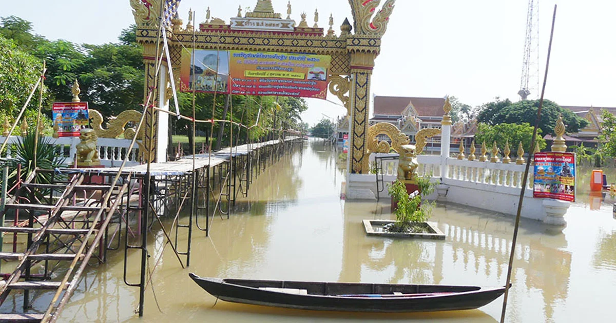 น้ำมาปทุมฯ เพิ่มระดับ 20 ซม. สัตว์ที่ถูกไถ่ชีวิตต้องใช้ชีวิตบนถนน