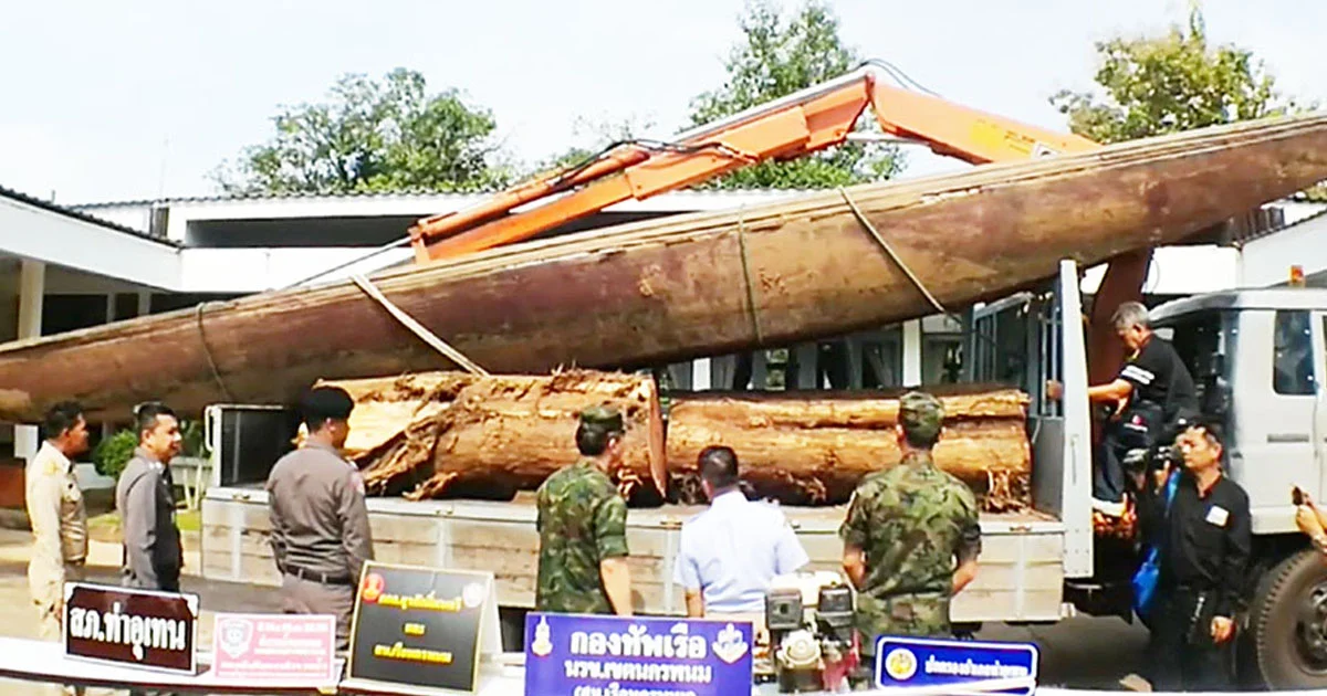 รวบแก๊งค้าไม้พะยูงค่านับล้าน เตรียมส่งขาย สปป.ลาว ไม่ยอมซัดทอดผู้ว่าจ้าง