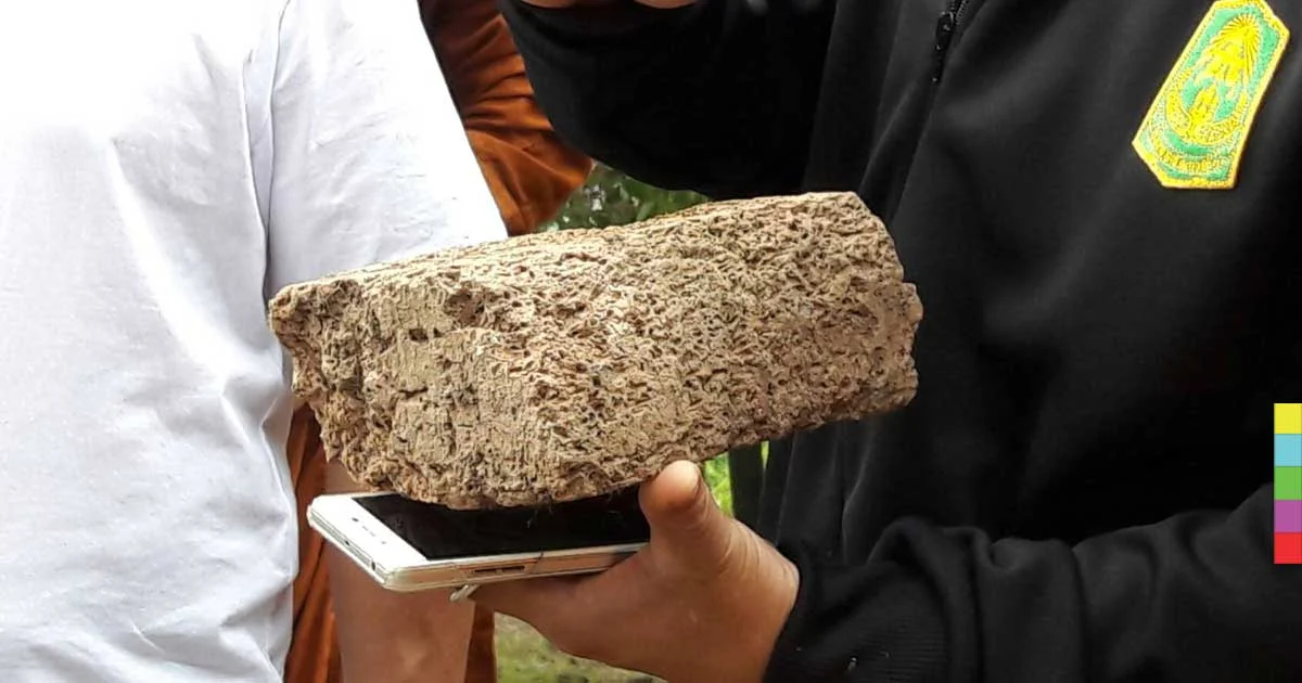 พระบวชถวายในหลวง ร.9 พบอิฐคล้ายเจดีย์เก่าอายุกว่า 400 ปี