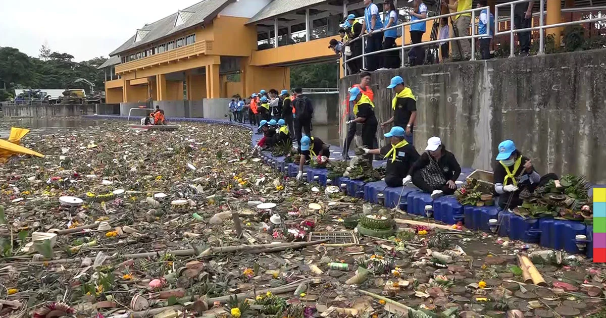 ชลประทานและจิตอาสา เร่งกำจัดซากกระทง 120 ตัน หวั่นกระทบสิ่งแวดล้อม
