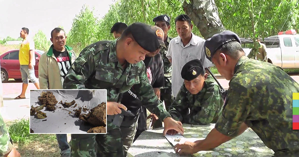 ชาวเพชรบูรณ์ผวา! หมีบุก จนท.เร่งไล่ล่า หวั่นทำอันตรายชาวบ้าน