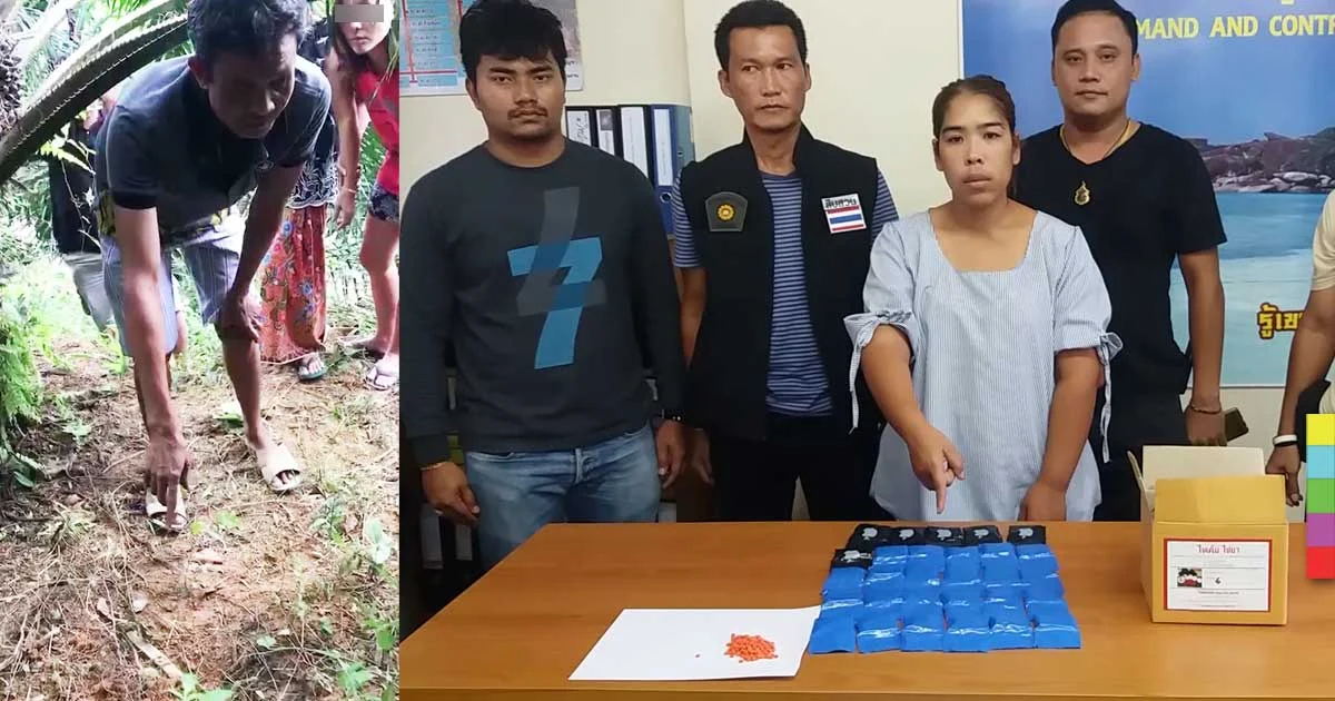 ช่างซุก ! รวบผู้ค้ายาบ้าขุดดินซ่อนยาโคนต้นปาล์มน้ำมัน-ลังไข่เค็ม
